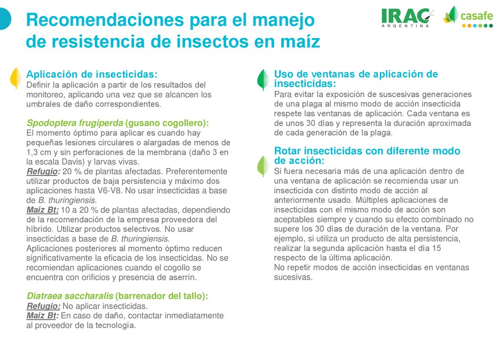 Recomendaciones para el manejo de resistencia de insectos en maíz