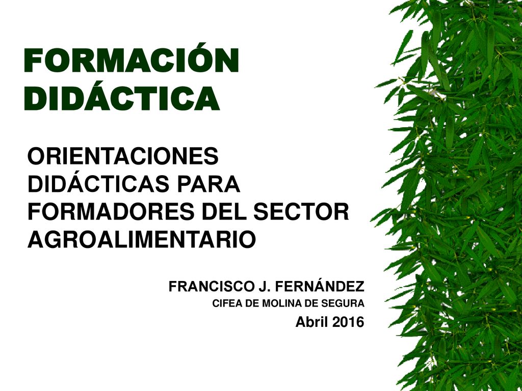 FORMACIÓN DIDÁCTICA ORIENTACIONES DIDÁCTICAS PARA FORMADORES DEL SECTOR AGROALIMENTARIO. FRANCISCO J. FERNÁNDEZ.