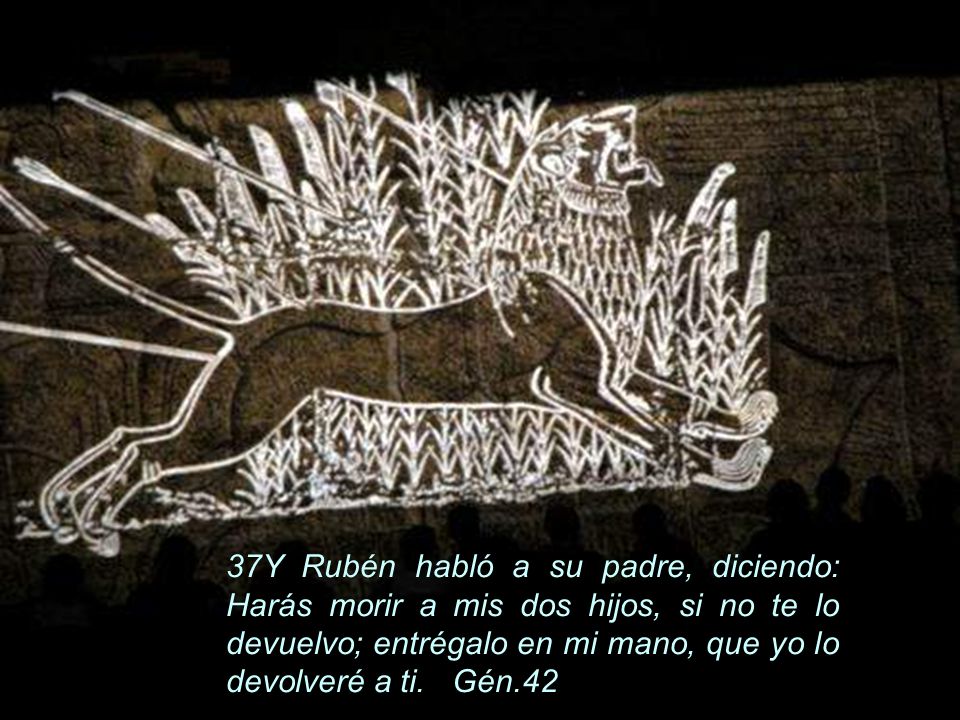 37Y Rubén habló a su padre, diciendo: Harás morir a mis dos hijos, si no te lo devuelvo; entrégalo en mi mano, que yo lo devolveré a ti.