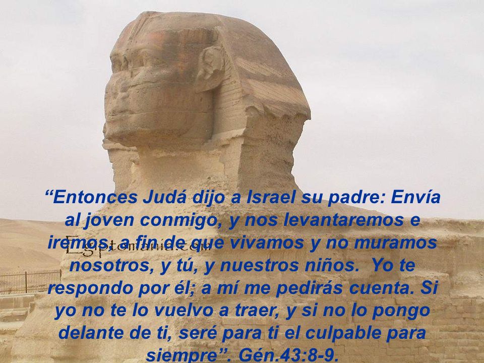 Entonces Judá dijo a Israel su padre: Envía al joven conmigo, y nos levantaremos e iremos, a fin de que vivamos y no muramos nosotros, y tú, y nuestros niños.