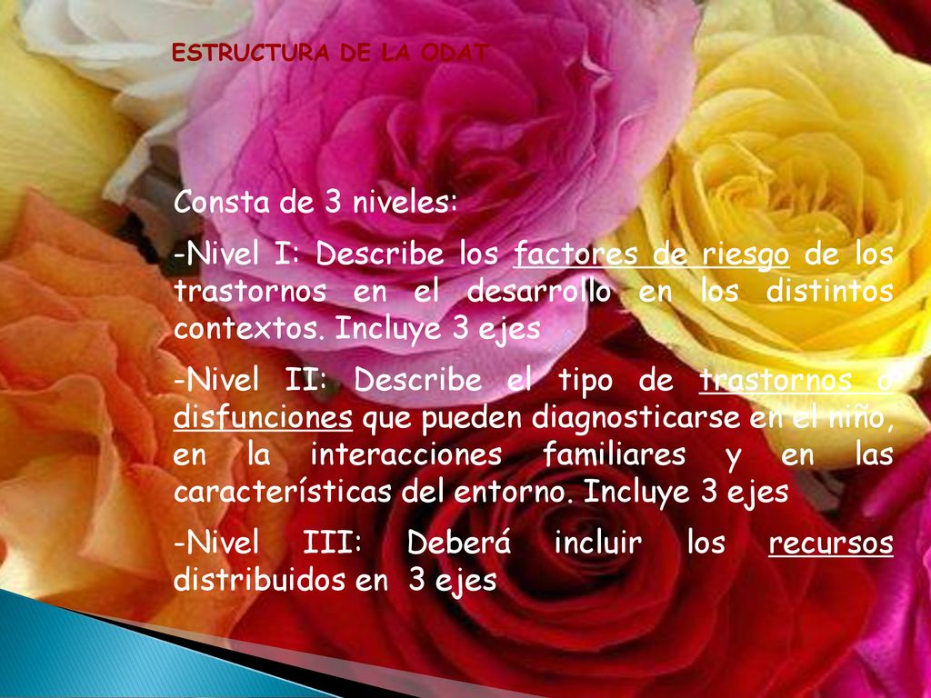 Nivel III: Deberá incluir los recursos distribuidos en 3 ejes