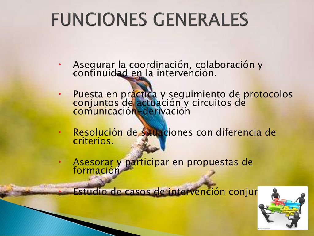 FUNCIONES GENERALES Asegurar la coordinación, colaboración y continuidad en la intervención.