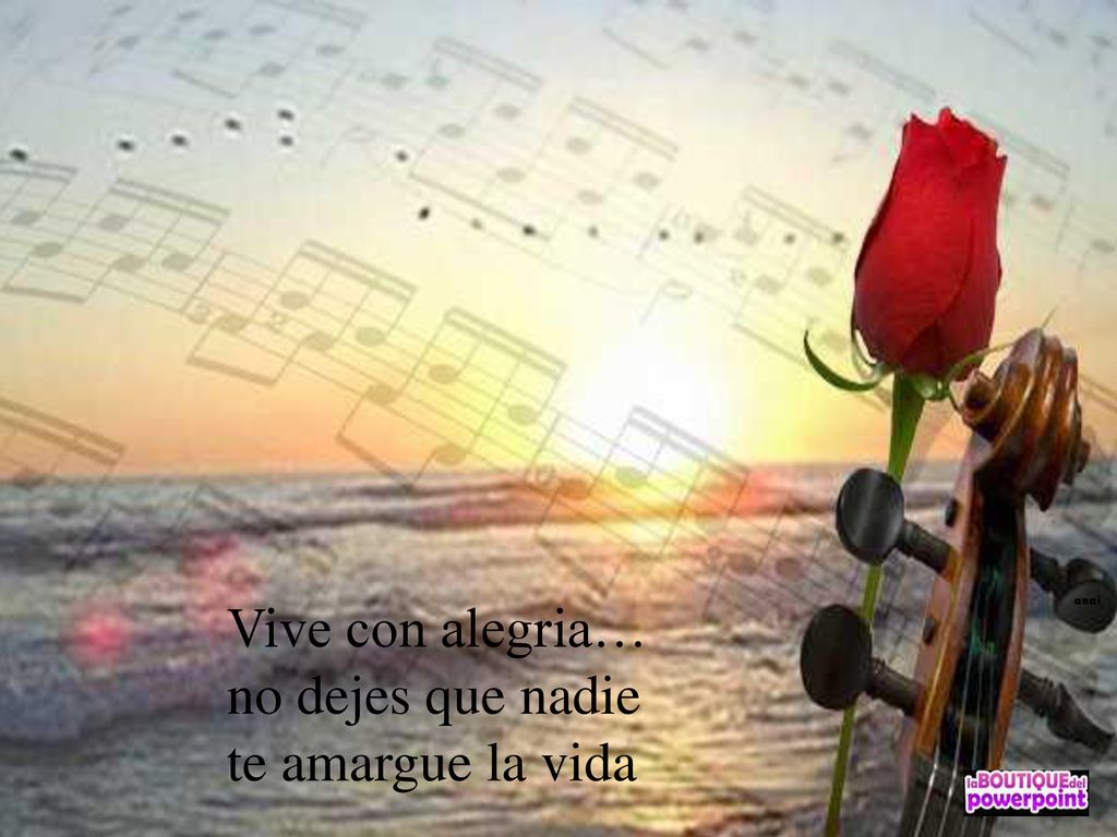 Vive con alegria… no dejes que nadie te amargue la vida anai