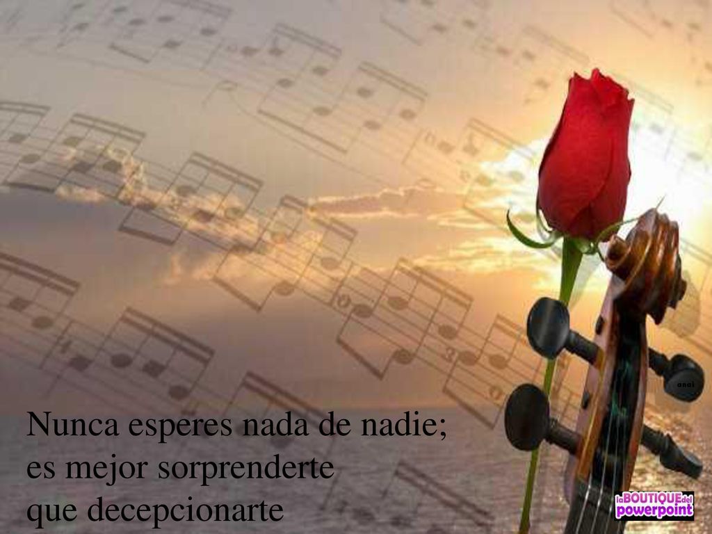 Nunca esperes nada de nadie; es mejor sorprenderte que decepcionarte