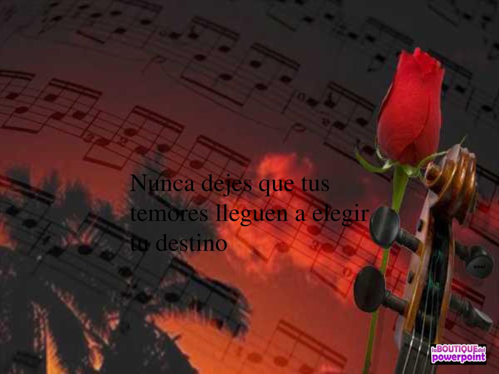 Nunca dejes que tus temores lleguen a elegir tu destino