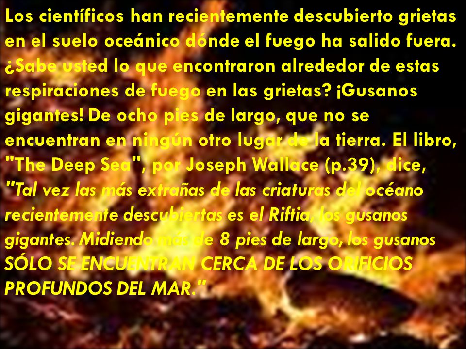 Los científicos han recientemente descubierto grietas en el suelo oceánico dónde el fuego ha salido fuera.