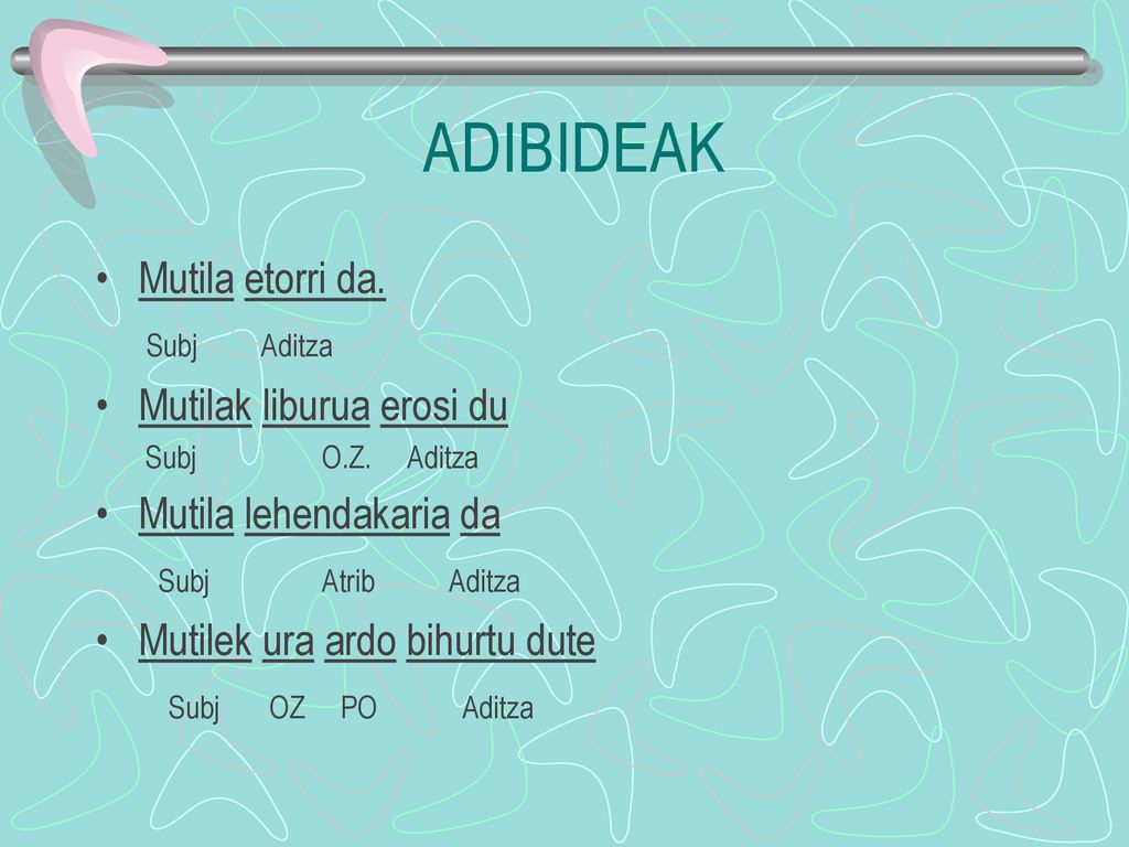 ADIBIDEAK Mutila etorri da. Subj Aditza Mutilak liburua erosi du