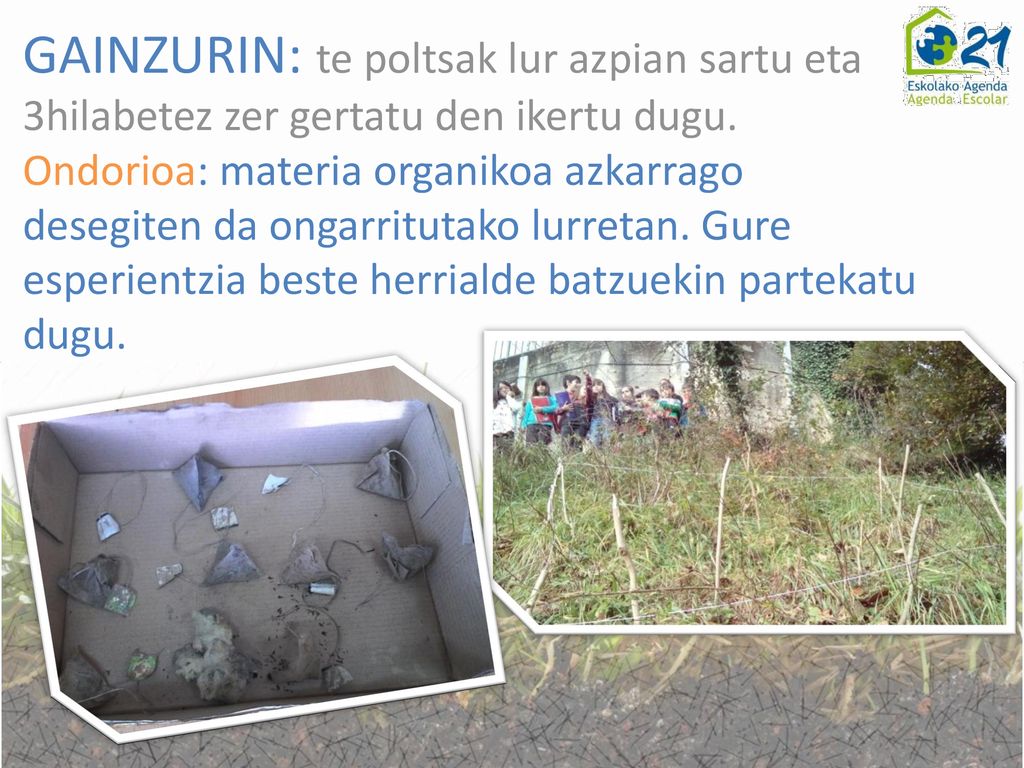 GAINZURIN: te poltsak lur azpian sartu eta 3hilabetez zer gertatu den ikertu dugu.