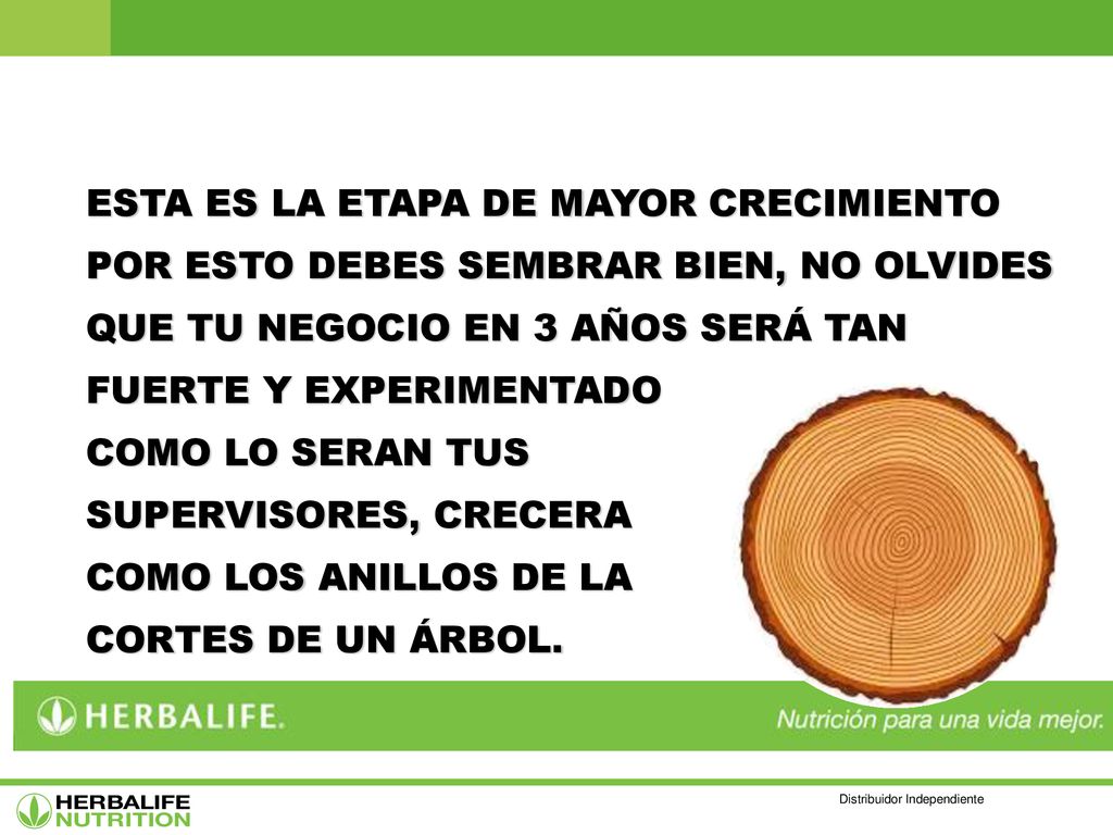 ESTA ES LA ETAPA DE MAYOR CRECIMIENTO POR ESTO DEBES SEMBRAR BIEN, NO OLVIDES QUE TU NEGOCIO EN 3 AÑOS SERÁ TAN FUERTE Y EXPERIMENTADO COMO LO SERAN TUS SUPERVISORES, CRECERA COMO LOS ANILLOS DE LA CORTES DE UN ÁRBOL.