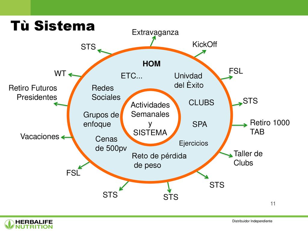 Tù Sistema Extravaganza KickOff STS HOM FSL WT ETC... Univdad