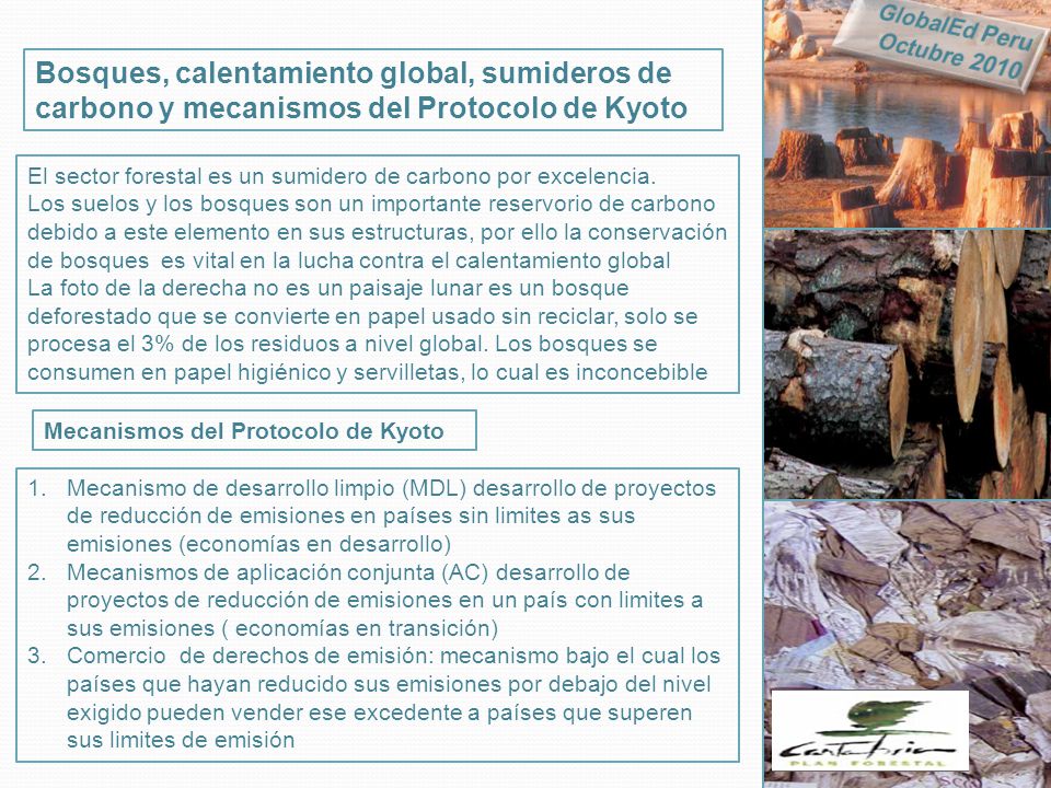 GlobalEd Peru Octubre Bosques, calentamiento global, sumideros de carbono y mecanismos del Protocolo de Kyoto.