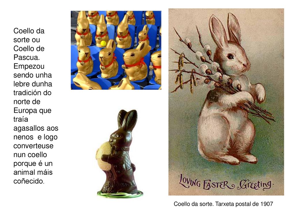 Coello da sorte ou Coello de Pascua