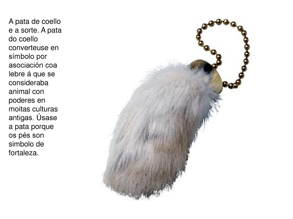 A pata de coello e a sorte