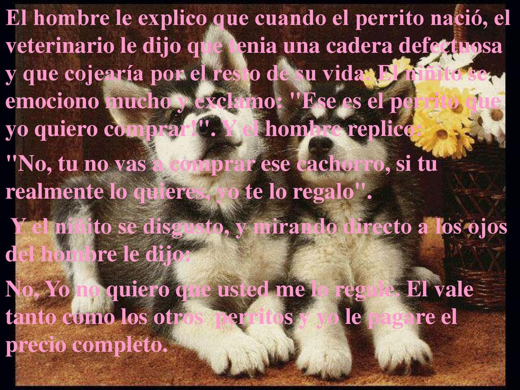 El hombre le explico que cuando el perrito nació, el veterinario le dijo que tenia una cadera defectuosa y que cojearía por el resto de su vida. El niñito se emociono mucho y exclamo: Ese es el perrito que yo quiero comprar! . Y el hombre replico: