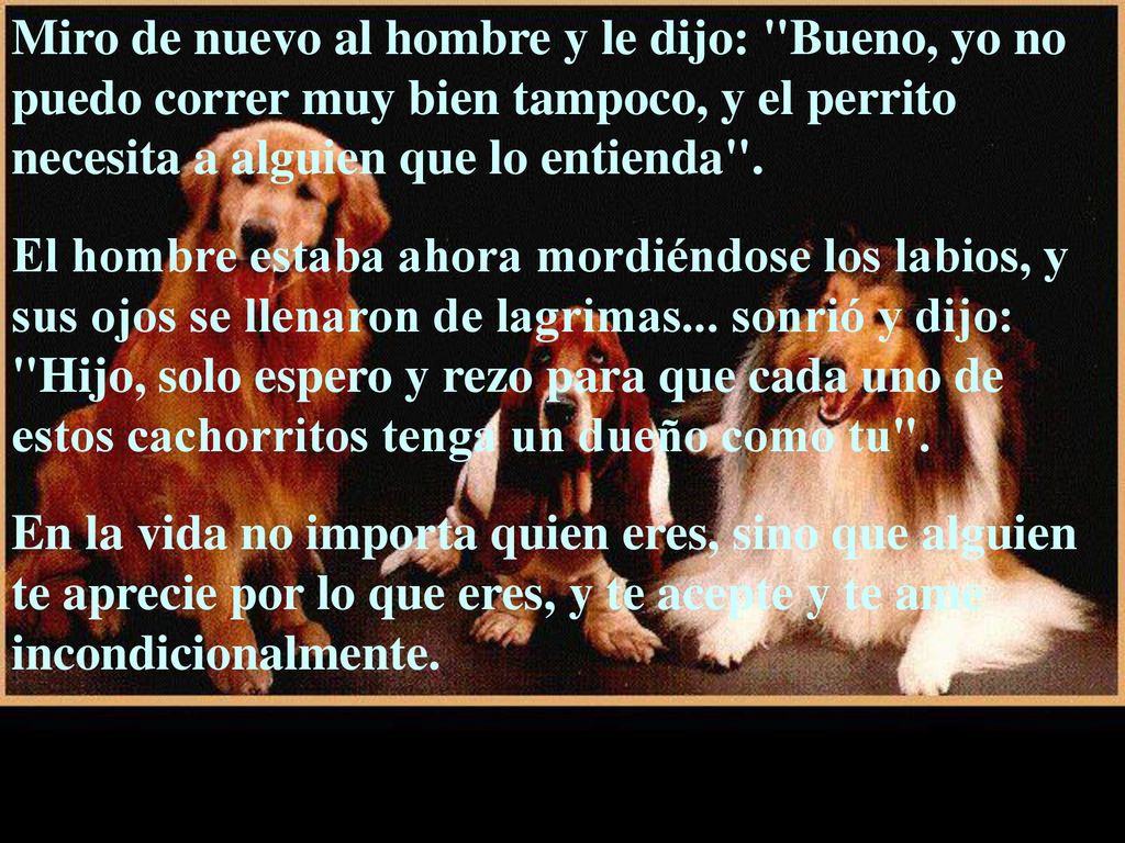 Miro de nuevo al hombre y le dijo: Bueno, yo no puedo correr muy bien tampoco, y el perrito necesita a alguien que lo entienda .