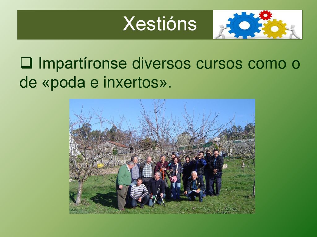 Xestións Impartíronse diversos cursos como o de «poda e inxertos».