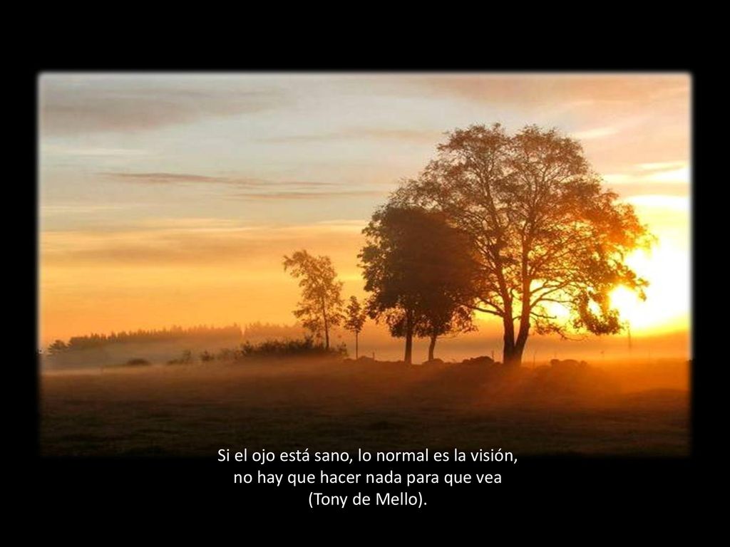 Si el ojo está sano, lo normal es la visión,