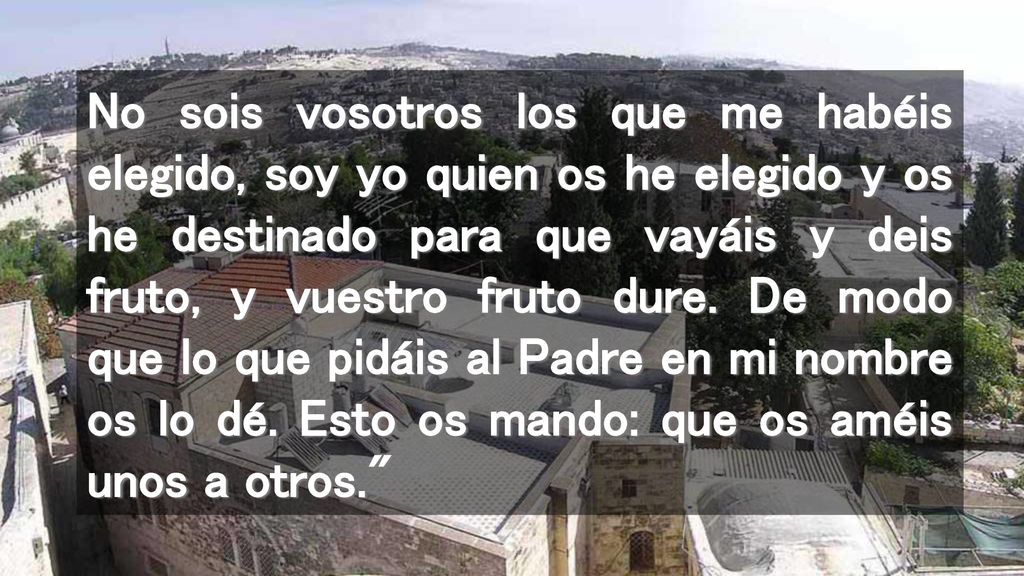 No sois vosotros los que me habéis elegido, soy yo quien os he elegido y os he destinado para que vayáis y deis fruto, y vuestro fruto dure.