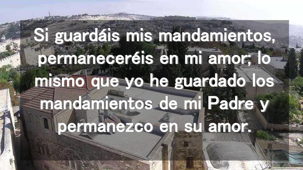 Si guardáis mis mandamientos, permaneceréis en mi amor; lo mismo que yo he guardado los mandamientos de mi Padre y permanezco en su amor.