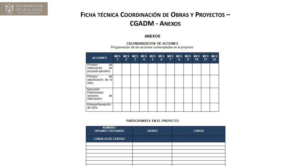 Ficha técnica Coordinación de Obras y Proyectos – CGADM - Anexos