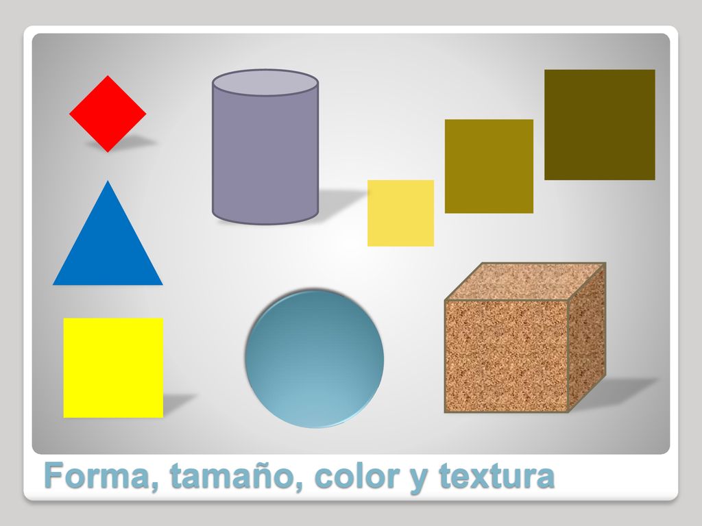 Forma, tamaño, color y textura