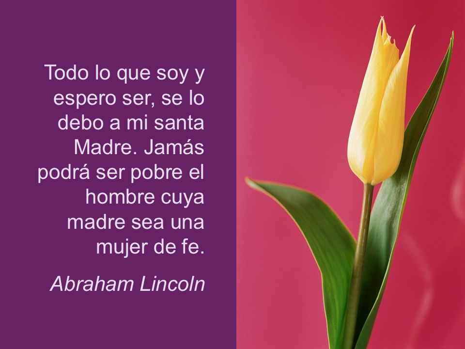 Todo lo que soy y espero ser, se lo debo a mi santa Madre
