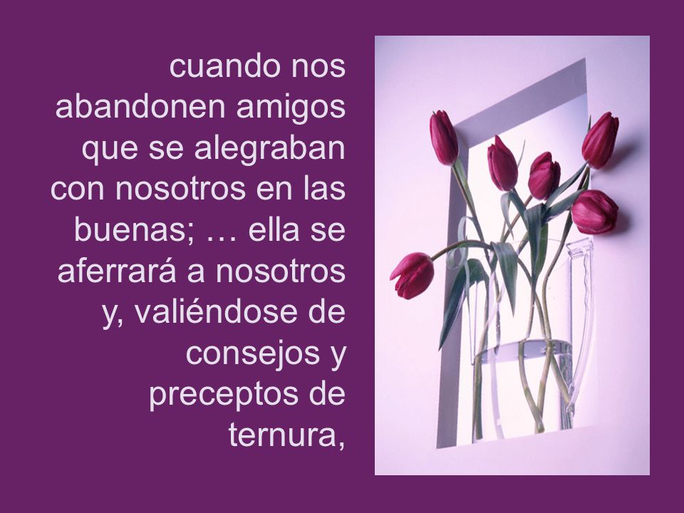 cuando nos abandonen amigos que se alegraban con nosotros en las buenas; … ella se aferrará a nosotros y, valiéndose de consejos y preceptos de ternura,