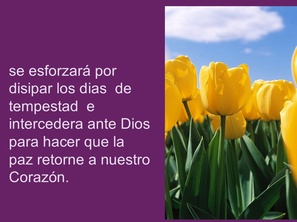 se esforzará por disipar los dias de tempestad e intercedera ante Dios para hacer que la paz retorne a nuestro Corazón.