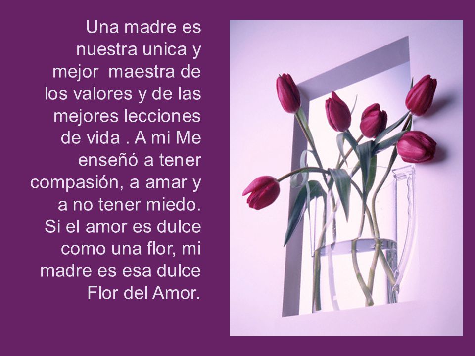 Una madre es nuestra unica y mejor maestra de los valores y de las mejores lecciones de vida .