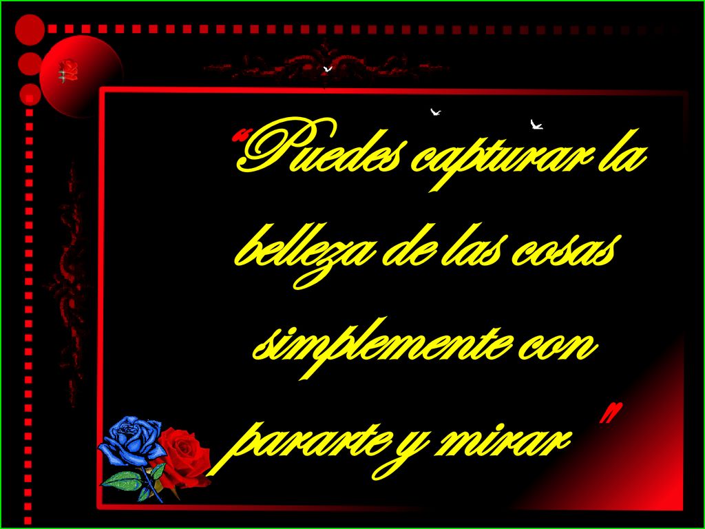 Puedes capturar la belleza de las cosas simplemente con pararte y mirar