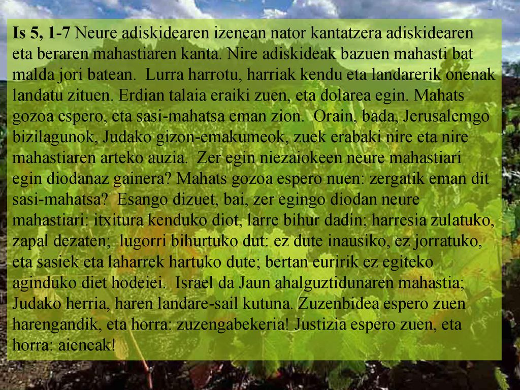 Is 5, 1-7 Neure adiskidearen izenean nator kantatzera adiskidearen