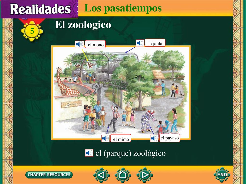 Los pasatiempos El zoologico el (parque) zoológico la jaula el mono