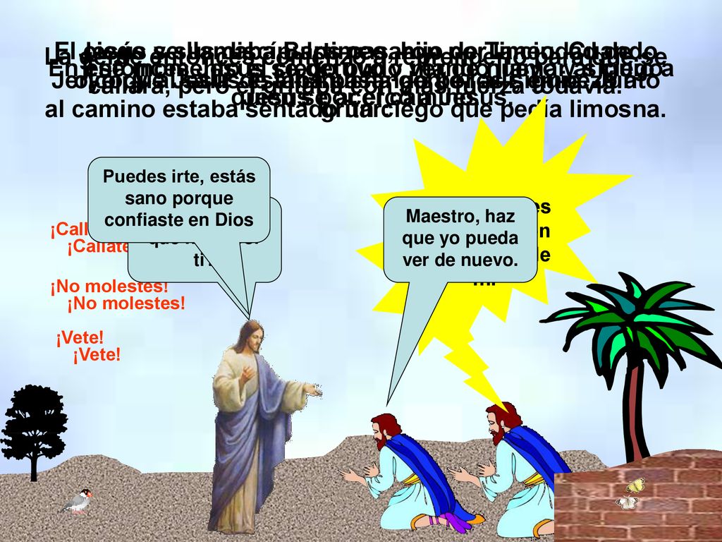 Jesús y sus discípulos pasaron por la ciudad de Jericó, y al salir de allí mucha gente los siguió. Junto al camino estaba sentado un ciego que pedía limosna.
