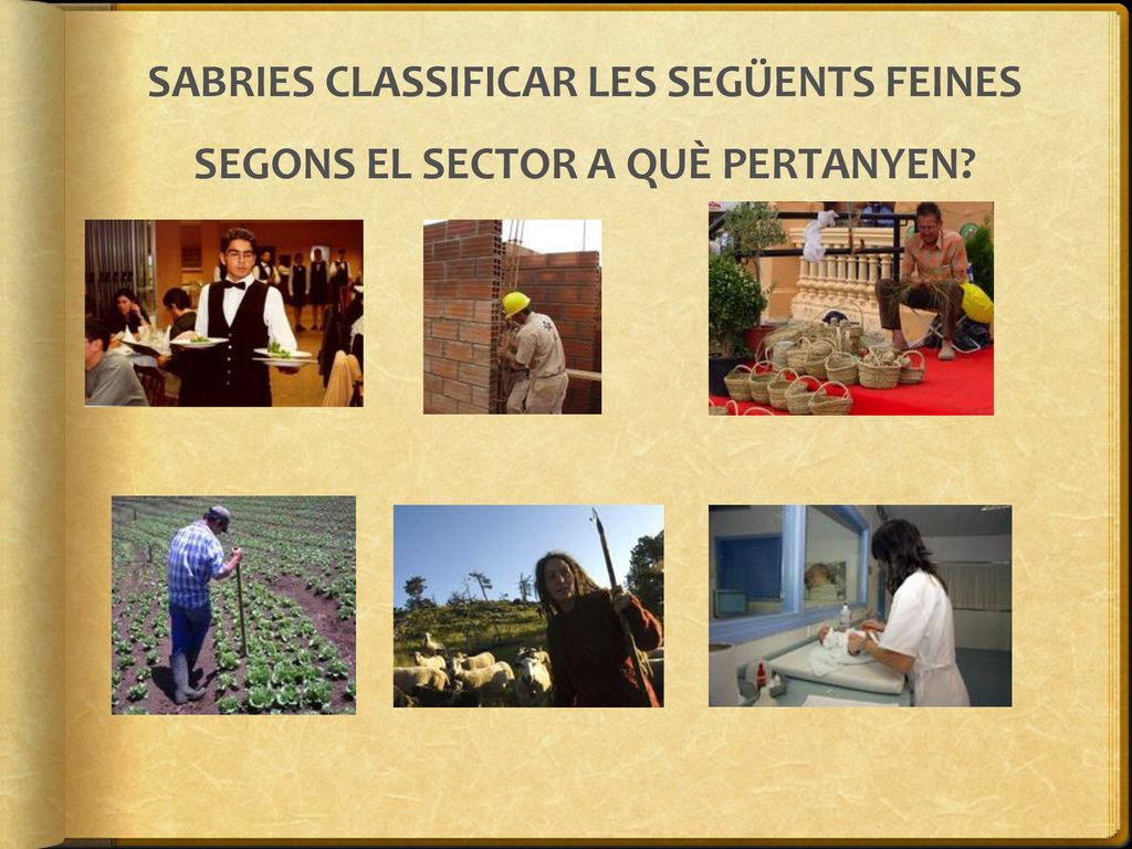 SABRIES CLASSIFICAR LES SEGÜENTS FEINES SEGONS EL SECTOR A QUÈ PERTANYEN