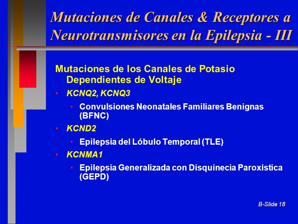 Mutaciones de Canales & Receptores a Neurotransmisores en la Epilepsia - III