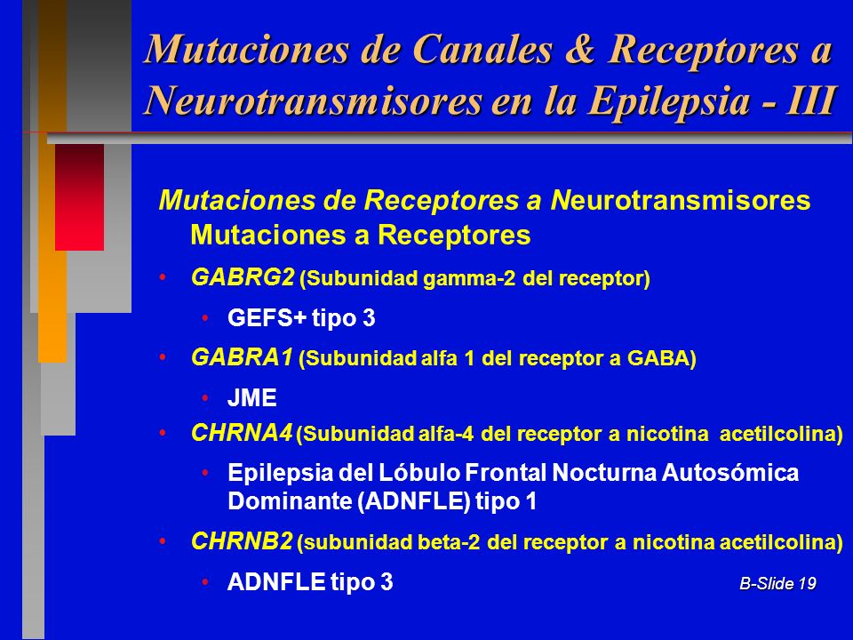 Mutaciones de Canales & Receptores a Neurotransmisores en la Epilepsia - III