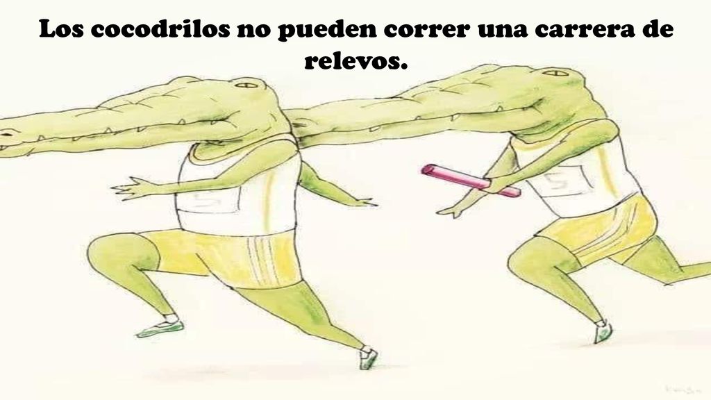 Los cocodrilos no pueden correr una carrera de relevos.