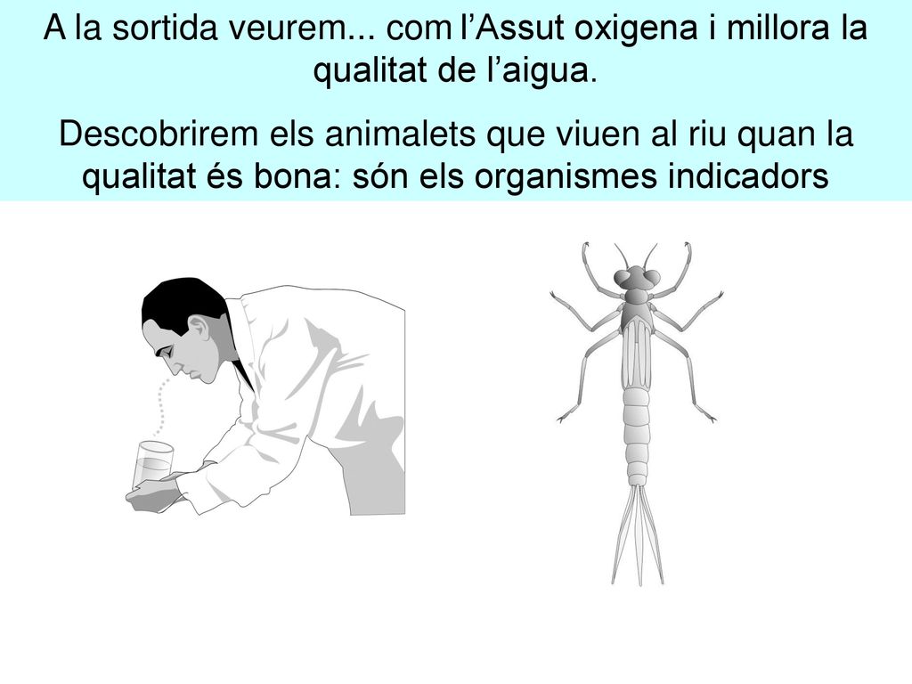 A la sortida veurem... com l’Assut oxigena i millora la qualitat de l’aigua.