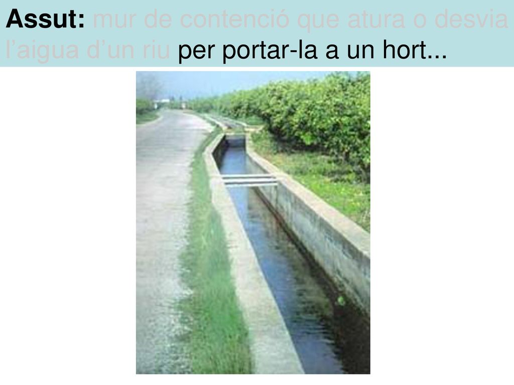Assut: mur de contenció que atura o desvia l’aigua d’un riu per portar-la a un hort...
