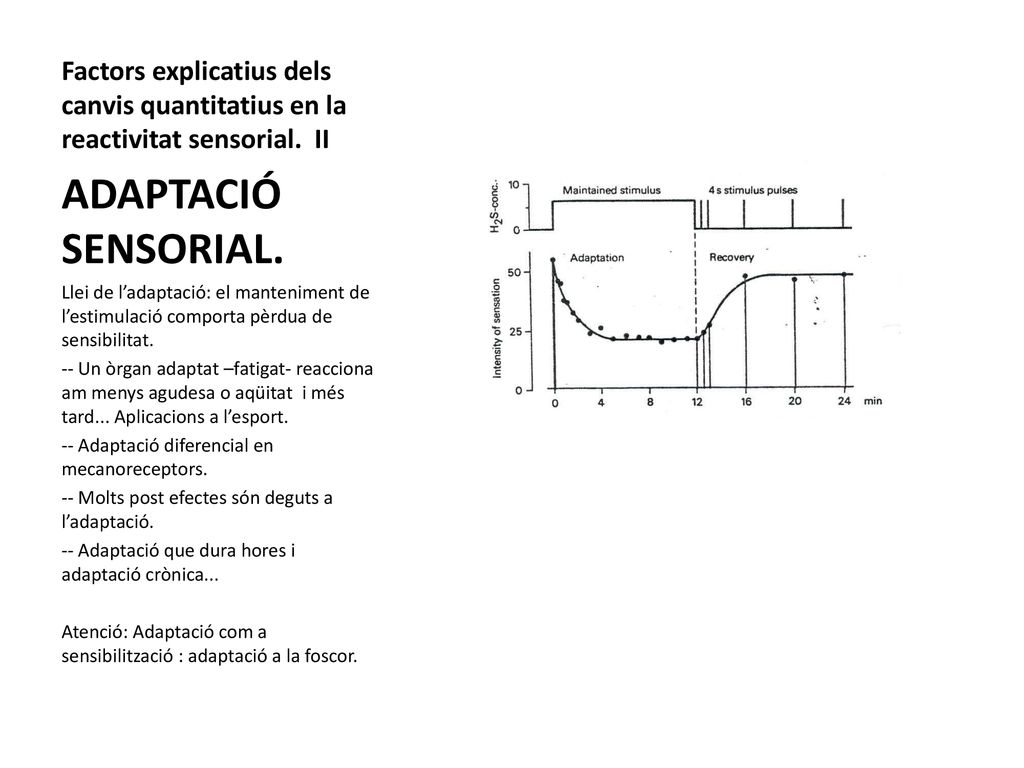 Factors explicatius dels canvis quantitatius en la reactivitat sensorial. II
