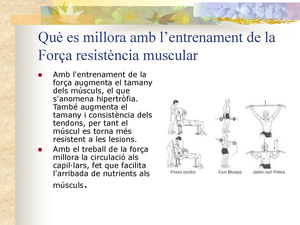 Què es millora amb l’entrenament de la Força resistència muscular