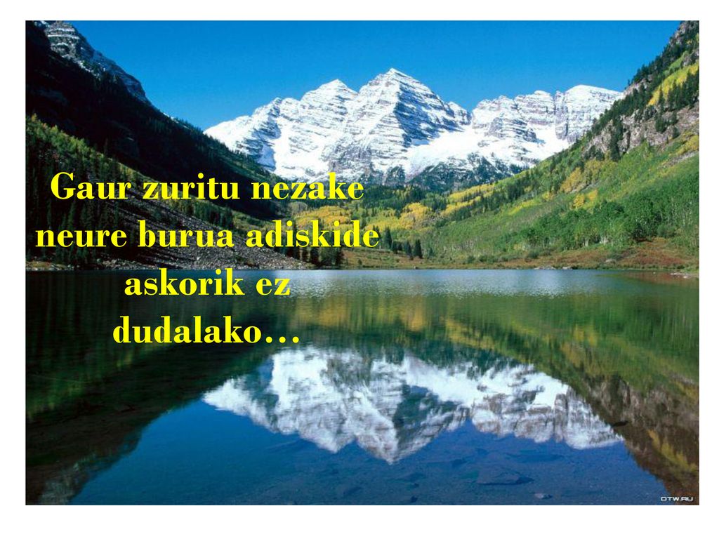 Gaur zuritu nezake neure burua adiskide askorik ez dudalako…