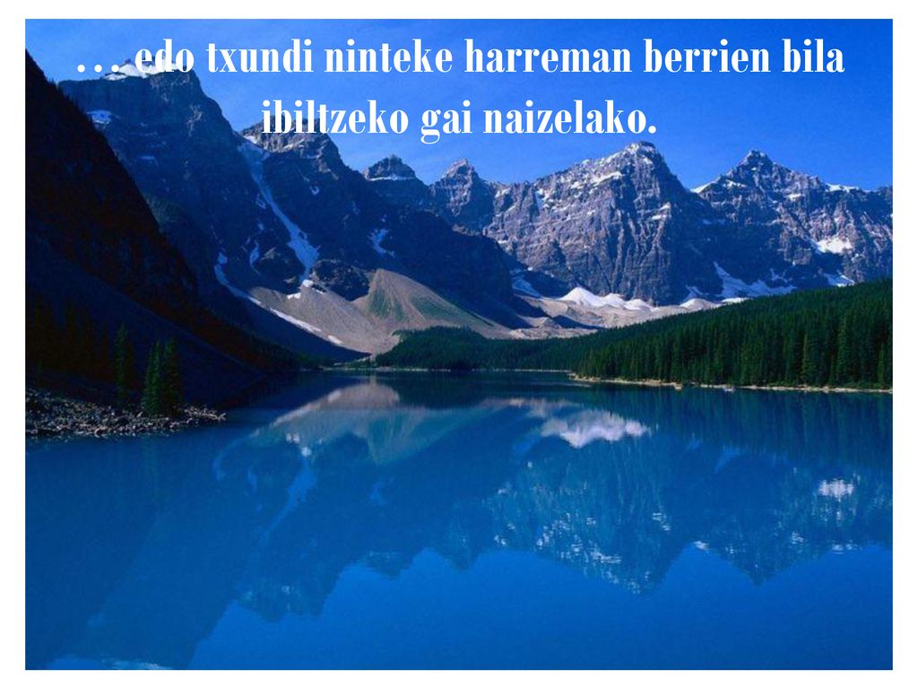 … edo txundi ninteke harreman berrien bila ibiltzeko gai naizelako.