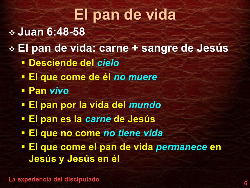 El pan de vida Juan 6:48-58 El pan de vida: carne + sangre de Jesús