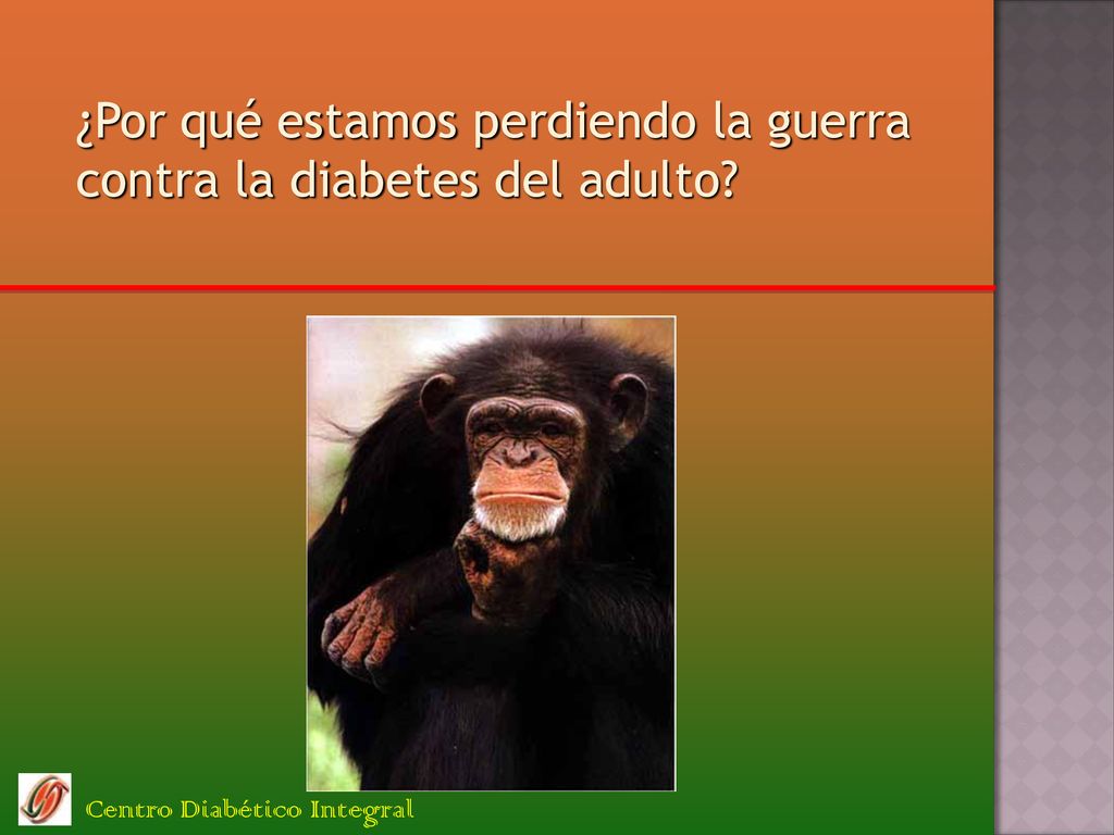 ¿Por qué estamos perdiendo la guerra contra la diabetes del adulto