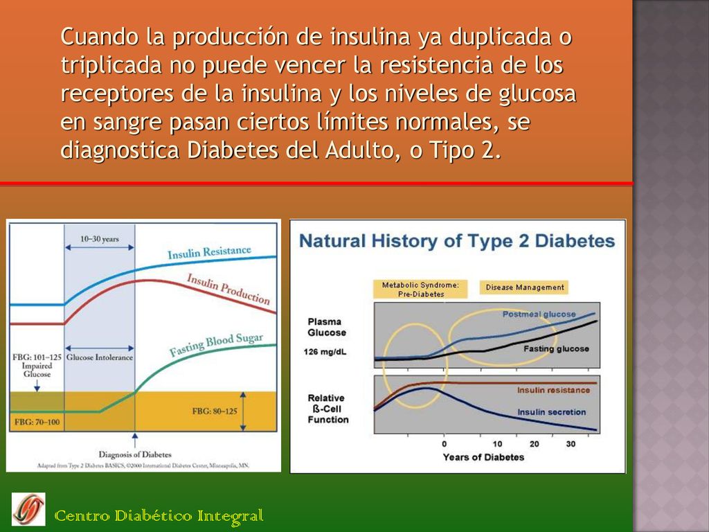 Cuando la producción de insulina ya duplicada o triplicada no puede vencer la resistencia de los receptores de la insulina y los niveles de glucosa en sangre pasan ciertos límites normales, se diagnostica Diabetes del Adulto, o Tipo 2.