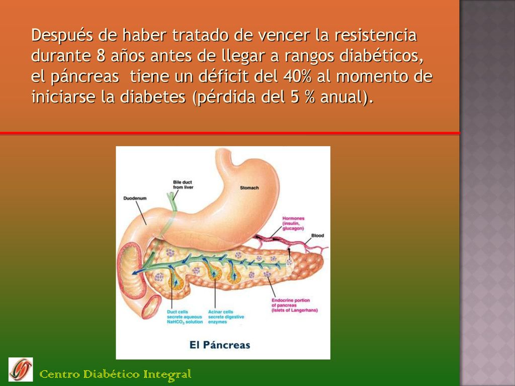Después de haber tratado de vencer la resistencia durante 8 años antes de llegar a rangos diabéticos, el páncreas tiene un déficit del 40% al momento de iniciarse la diabetes (pérdida del 5 % anual).