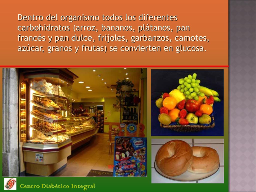 Dentro del organismo todos los diferentes carbohidratos (arroz, bananos, plátanos, pan francés y pan dulce, frijoles, garbanzos, camotes, azúcar, granos y frutas) se convierten en glucosa.