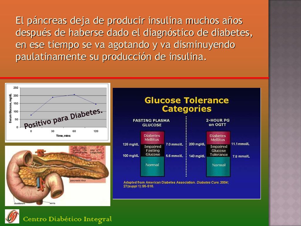 El páncreas deja de producir insulina muchos años después de haberse dado el diagnóstico de diabetes, en ese tiempo se va agotando y va disminuyendo paulatinamente su producción de insulina.