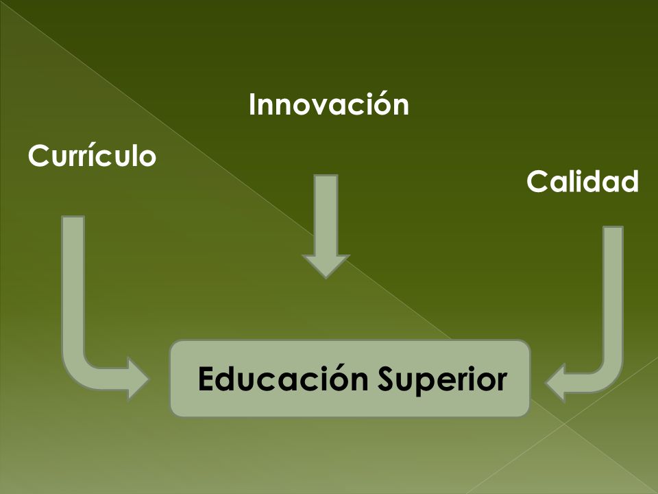 Innovación Currículo Calidad Educación Superior